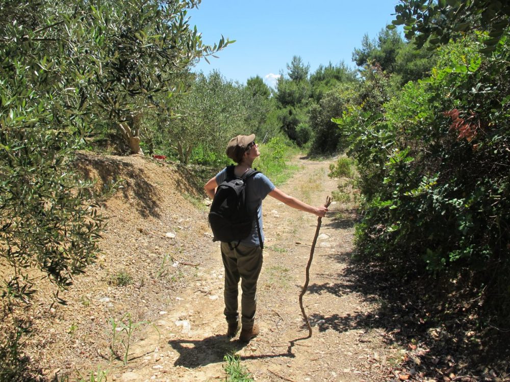 Camping Mala Milna, Hvar/Kroatien / Foto: © Camping Korrespondent