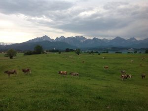 Camping Brunnen, Schwangau / Foto: © Camping Korrespondent