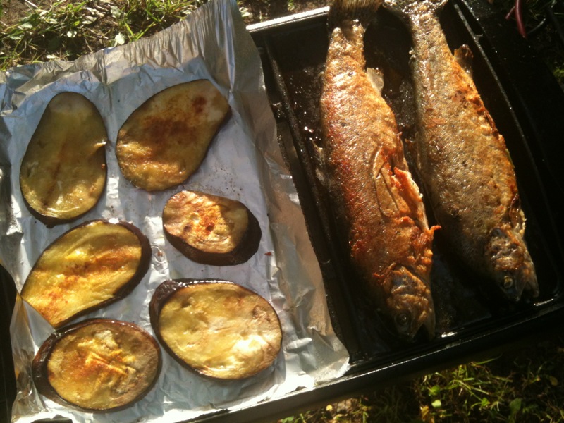 Camping Hammerschmiedesee / Foto: © Camping Korrespondent