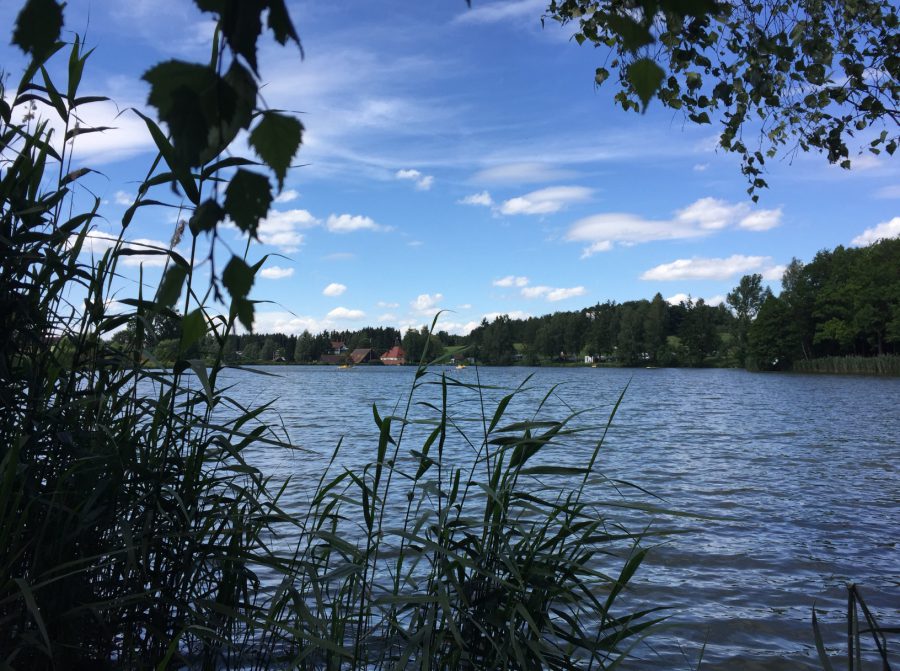 Camping Hammerschmiedesee / Foto: © Camping Korrespondent