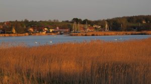 Marina Seedorf, Rügen / Foto: © Camping Korrespondent