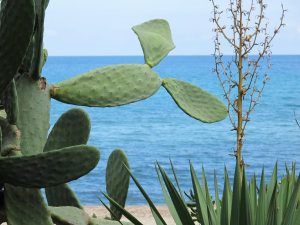 Camping Calamar, Korsika / © Camping Korrespondent