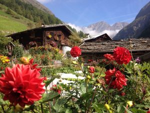 Etappe 3, Meraner Höhenweg / © Camping Korrespondent