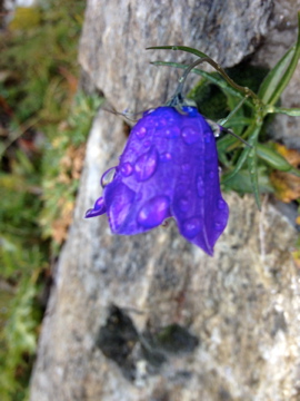 Etappe 4 Meraner Höhenweg / © Camping Korrespondent