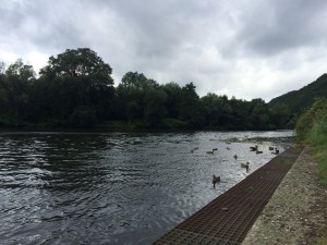 Campingplatz Hohensyburg/Dortmund, Foto: Camping Korrespondent ©