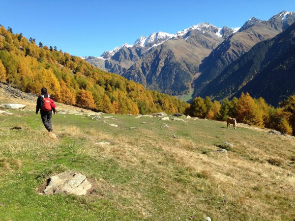 Vinschgauer Höhenweg / © Camping Korrespondent